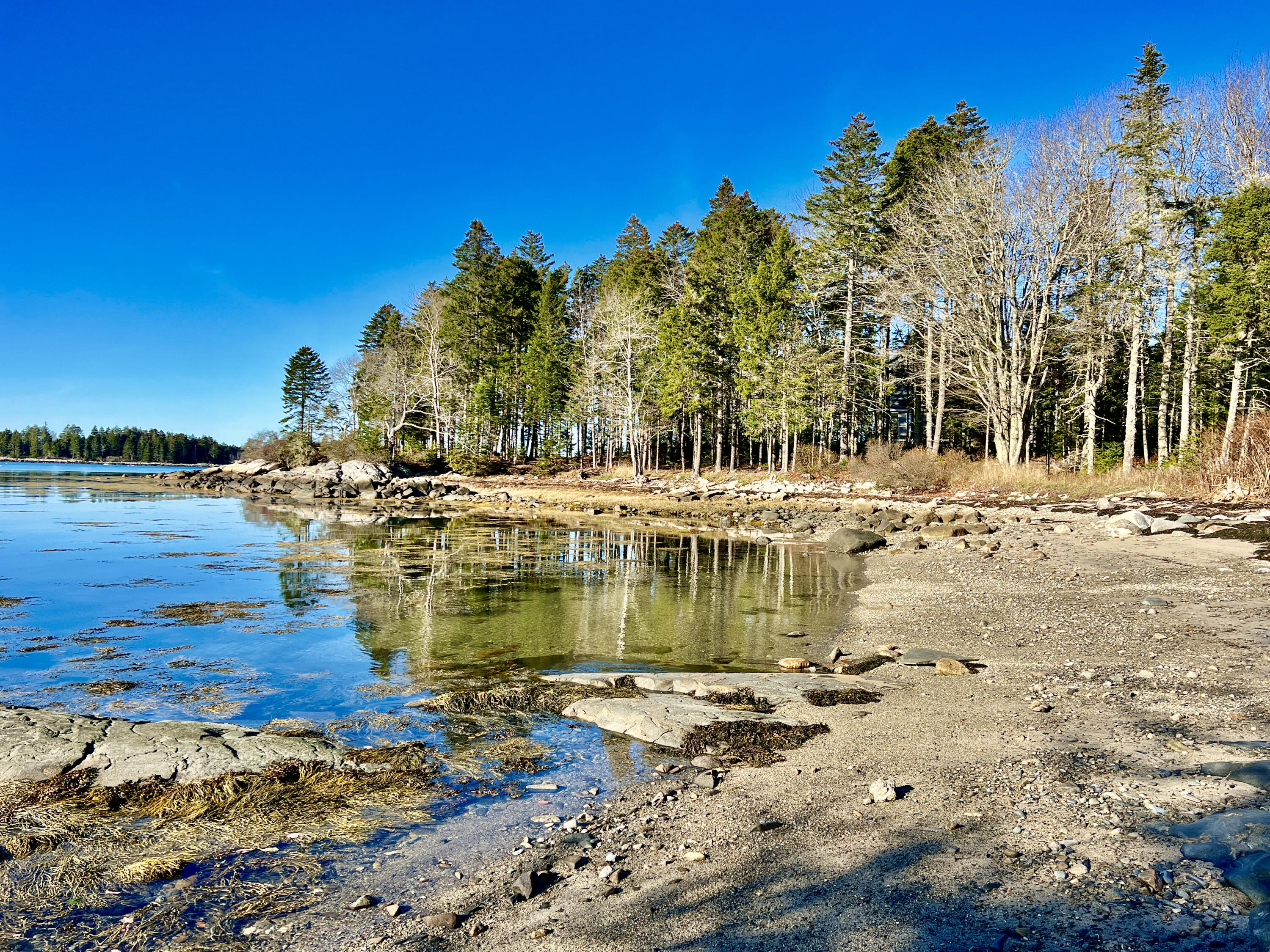 83 Weir Point Road St. George, ME 04859 - Photo 4 of 74 C780D924-BD33-4D11-894F-C86434F0B447_1_2