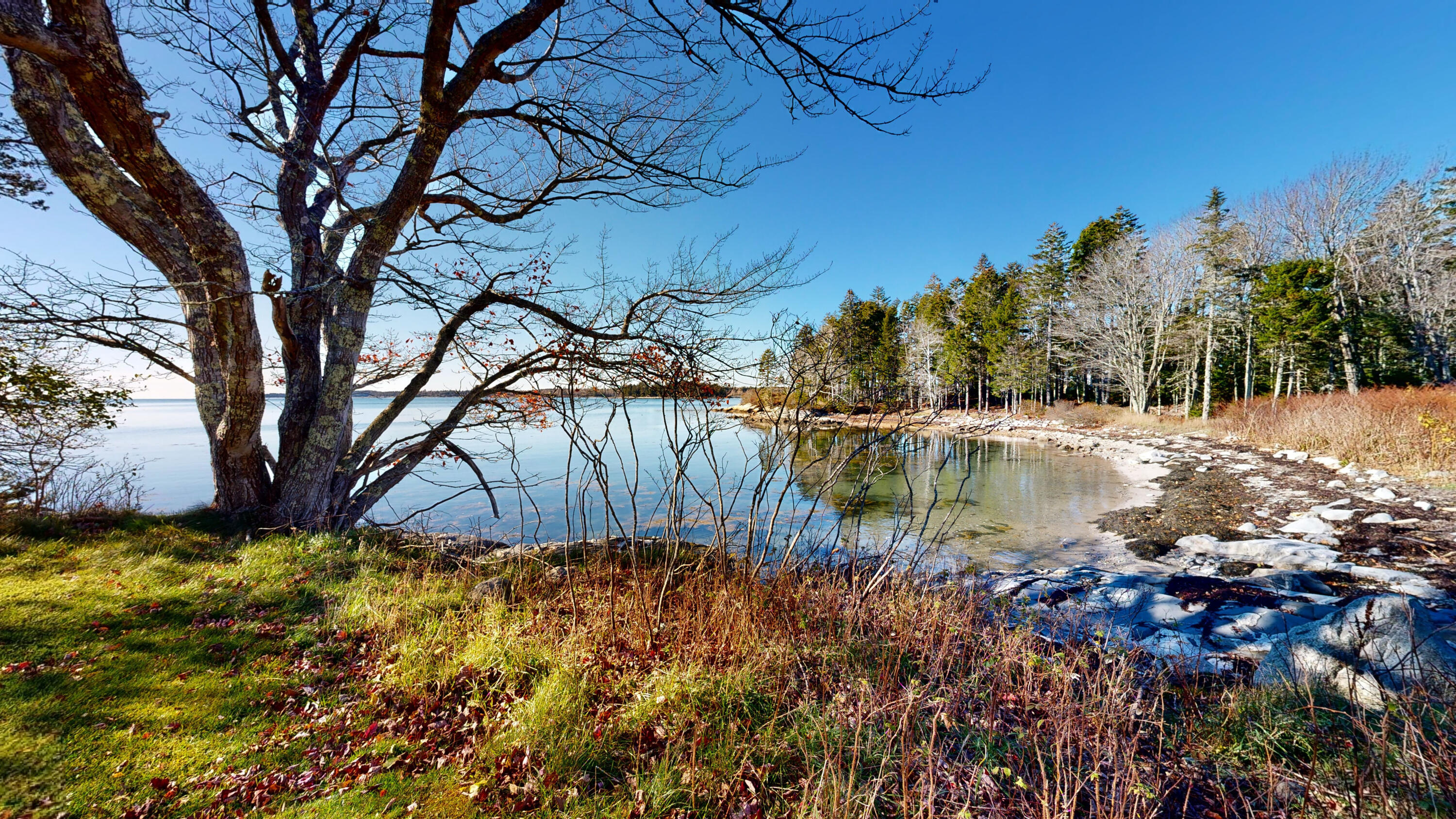 83 Weir Point Road St. George, ME 04859 - Photo 52 of 74 18-Weir-Point-Road-11102022_122156