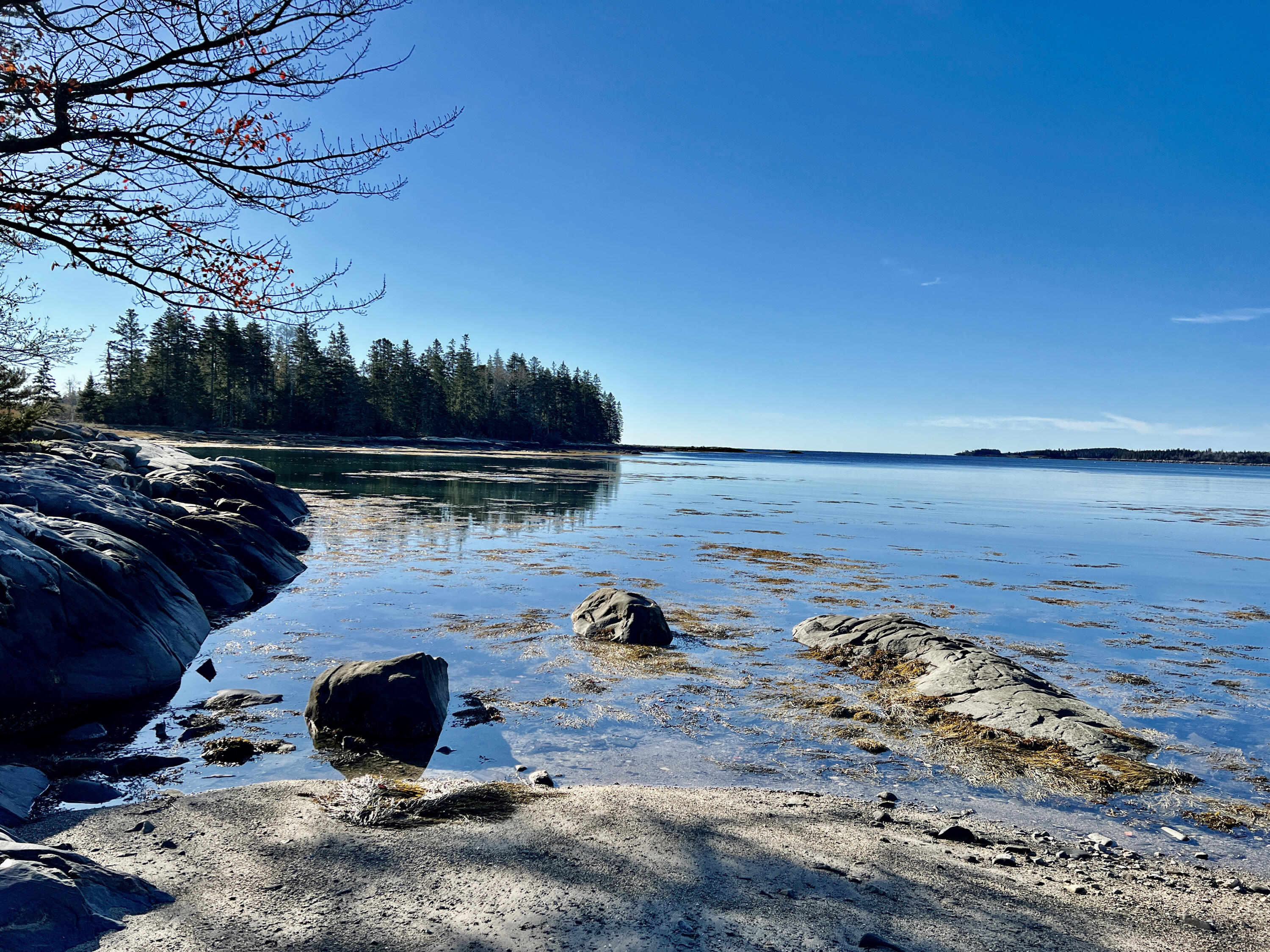 83 Weir Point Road St. George, ME 04859 - Photo 54 of 74 DD4C2CB6-33A0-4555-B24A-07E339718AFD_1_2