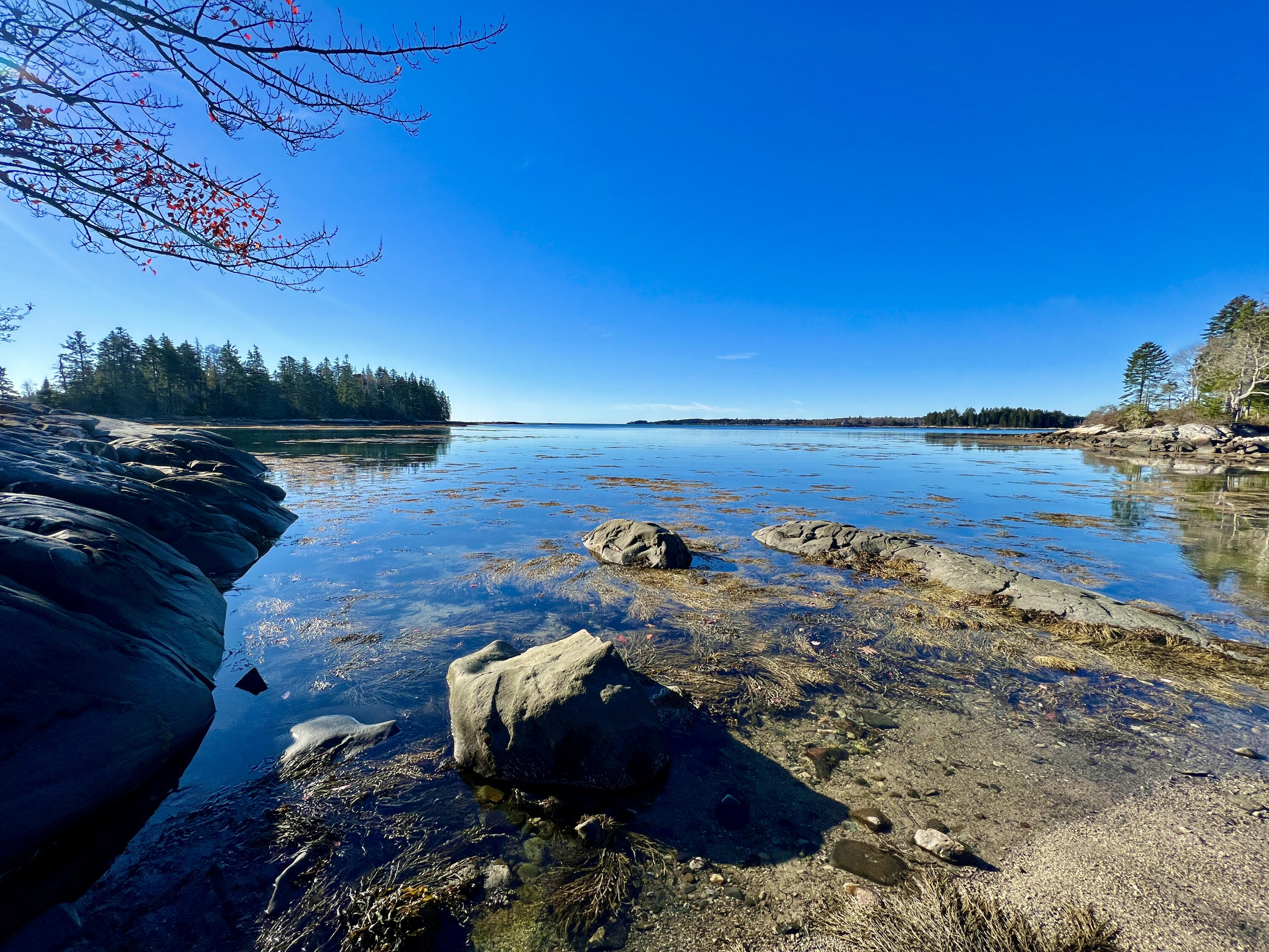 83 Weir Point Road St. George, ME 04859 - Photo 55 of 74 4340D020-9244-4866-9AD1-2DAE730F6C16_1_2