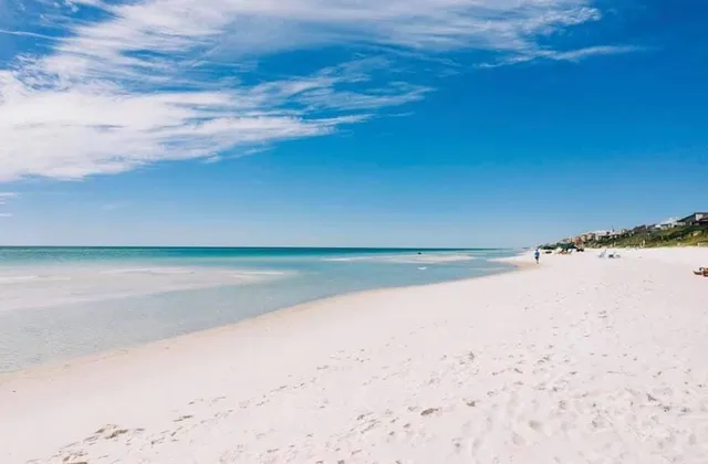 a view of a big yard