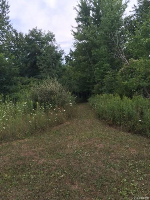 5209 Walker Road Davison, MI 48423 - Photo 58 of 68 Trails on property
