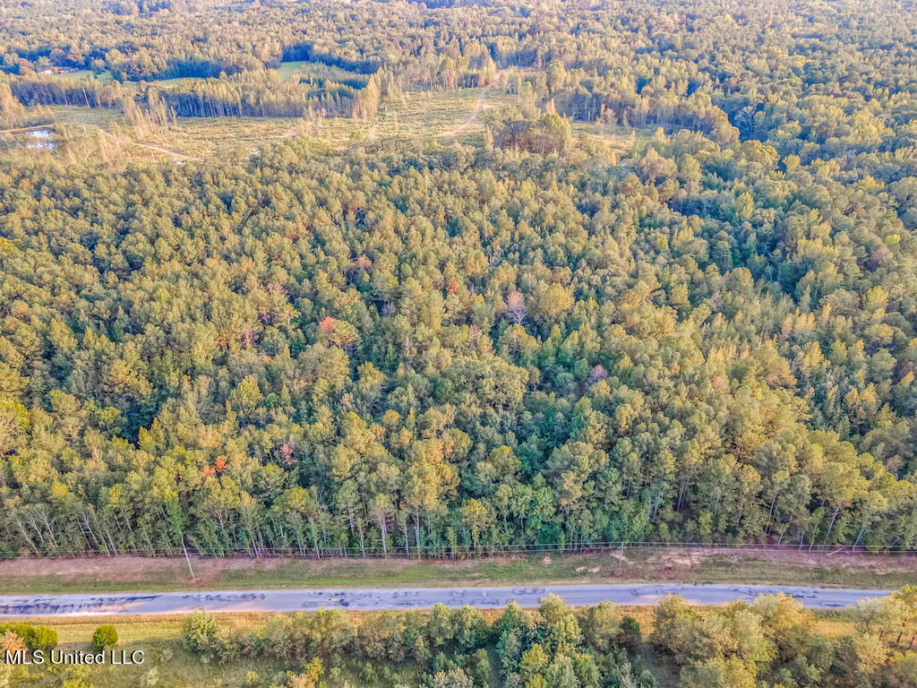 Lot 1 Mac Pate Rd Point Cedarbluff, MS 39741 - Photo 4 of 22 DJI_0951