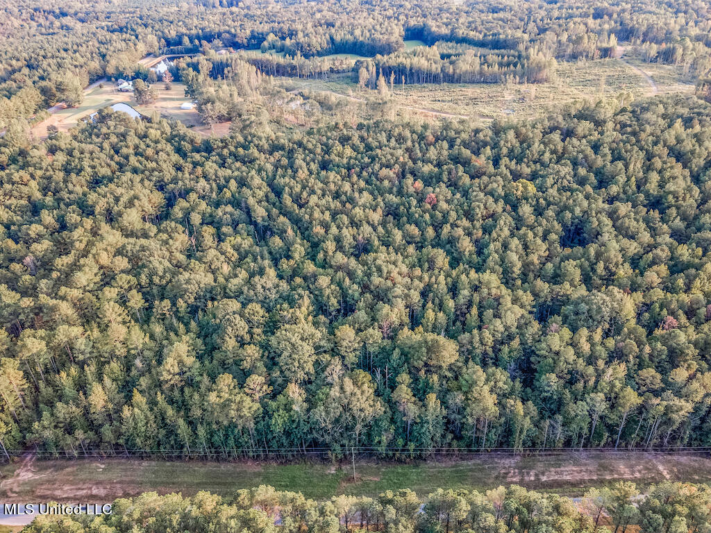 Lot 1 Mac Pate Rd Point Cedarbluff, MS 39741 - Photo 6 of 22 DJI_0957