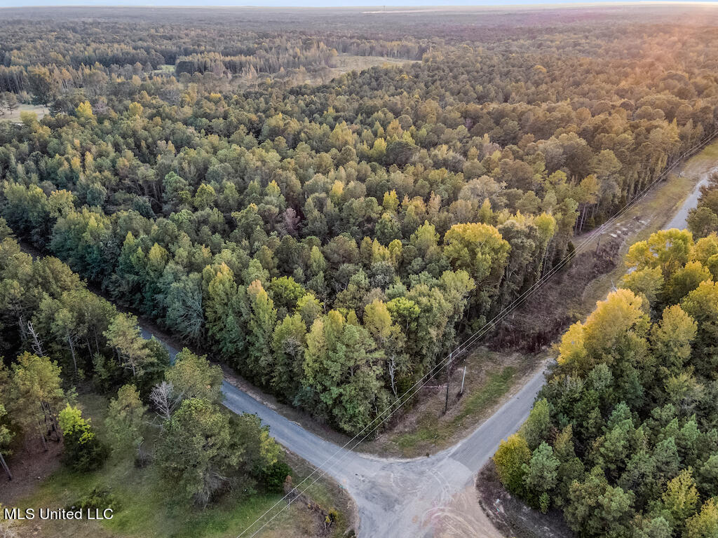 Lot 1 Mac Pate Rd Point Cedarbluff, MS 39741 - Photo 7 of 22 DJI_0960