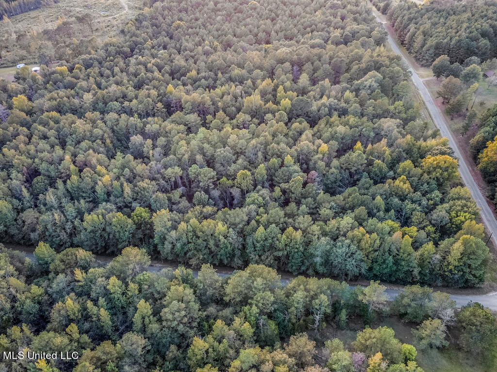 Lot 1 Mac Pate Rd Point Cedarbluff, MS 39741 - Photo 8 of 22 DJI_0963