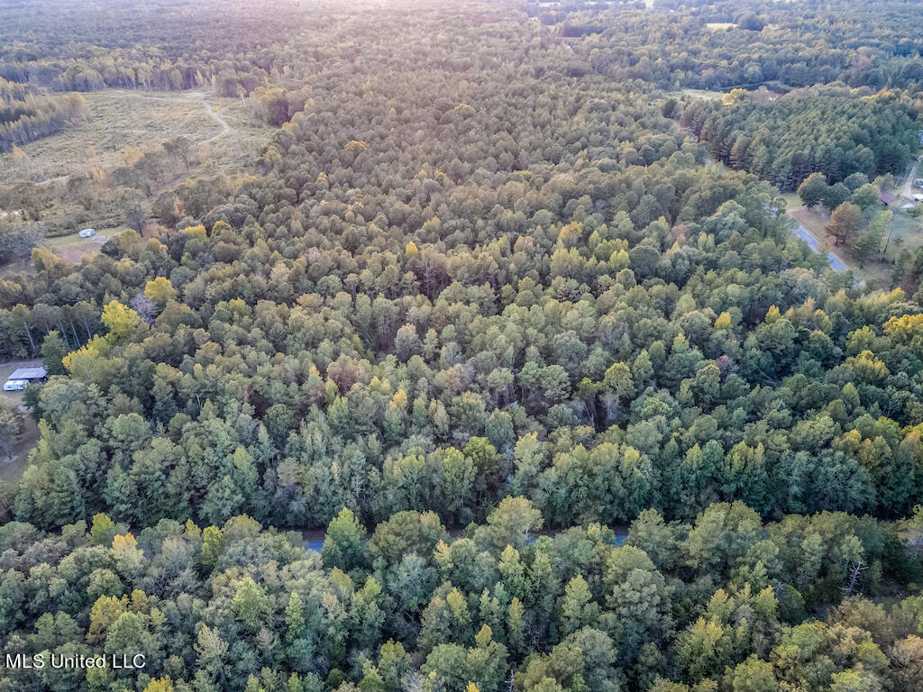 Lot 1 Mac Pate Rd Point Cedarbluff, MS 39741 - Photo 9 of 22 DJI_0966