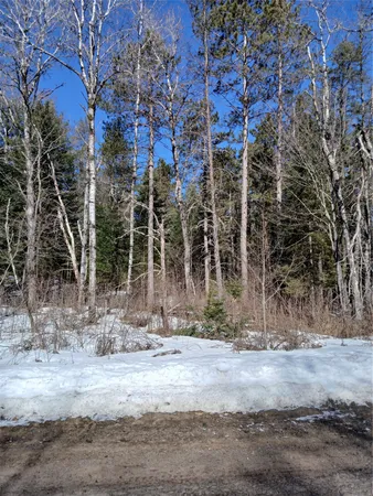$10,000 | Lot 2 Lake Lodge Drive, Cable, WI 54821
