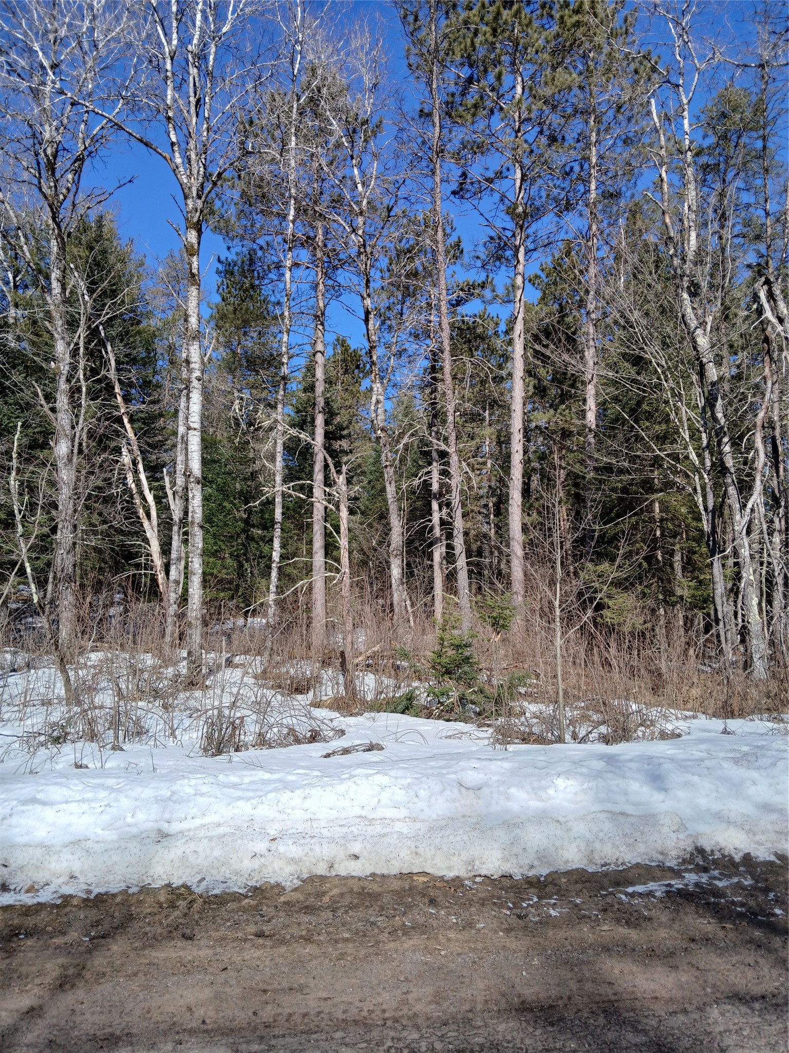 Lot 2 Lake Lodge Drive Cable, WI 54821 - Photo 1 of 1