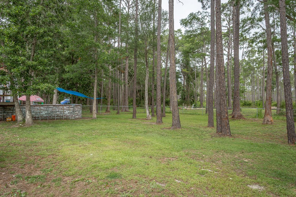 895 C C Land Road Eastpoint, FL 32328 - Photo 40 of 44