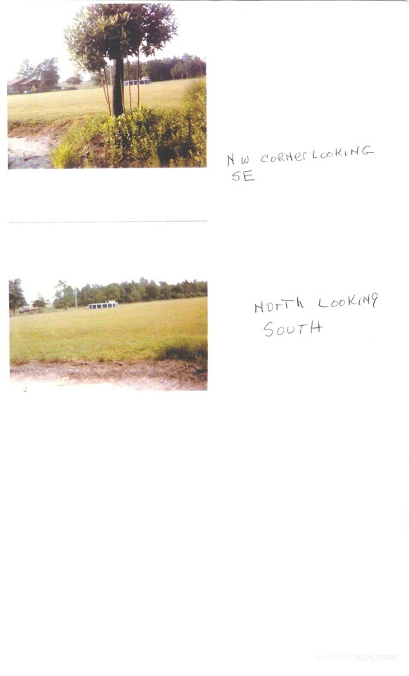 20414 Brinks Willis Road Foley, AL 36535 - Photo 4 of 7 Gallery Image 4