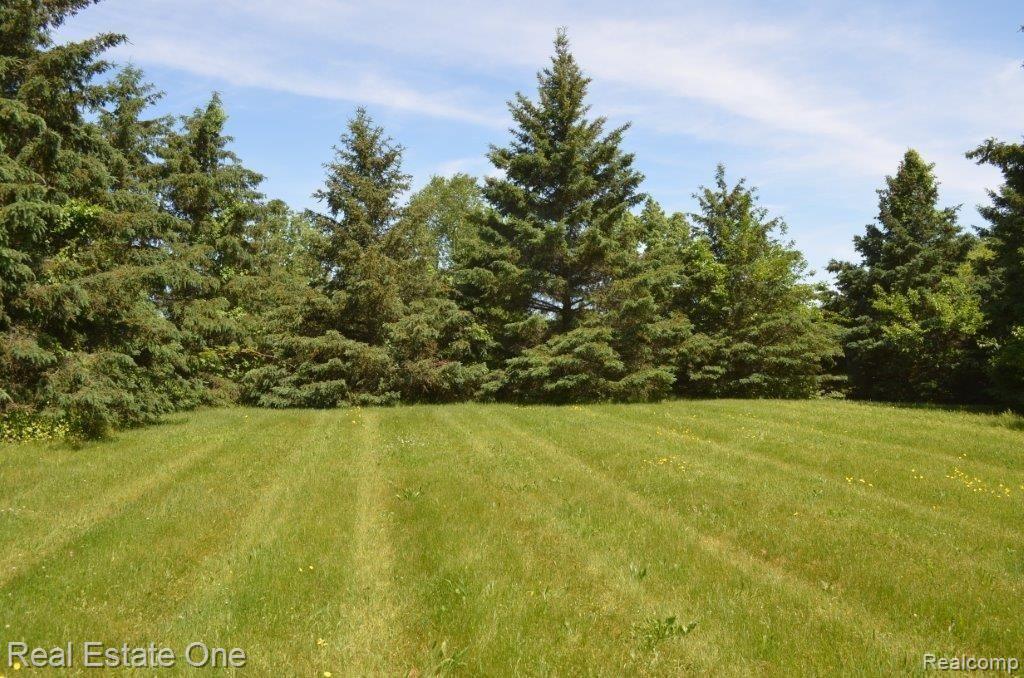 1421 8 Mile Road Whitmore Lake, MI 48189 - Photo 1 of 4 8 mile 002.jpg