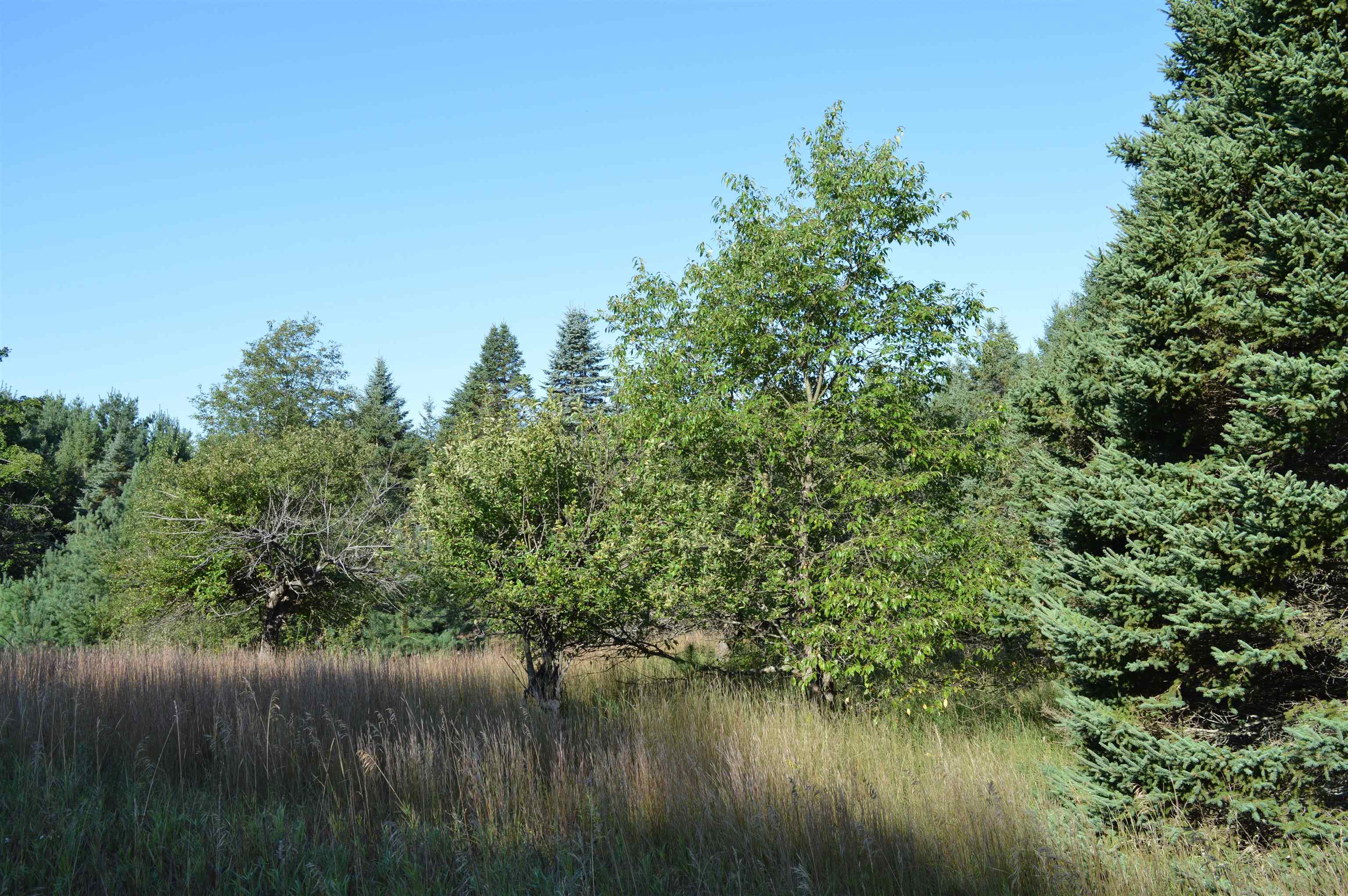Gildas Rd Rapid Alden, MI 49612 - Photo 10 of 15