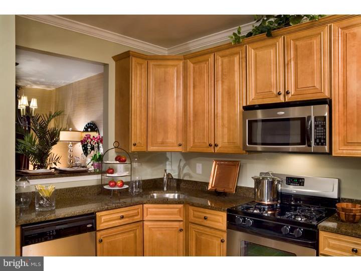 53 Old Cedarbrook Road Wyncote, PA 19095 - Photo 11 of 18 Kitchen