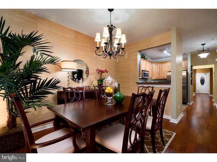 53 Old Cedarbrook Road Wyncote, PA 19095 - Photo 12 of 18 Dining Room