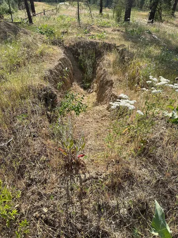 $300,000 | Nka Nka Way, Unit LOTS A B AND C, Deer Park, WA 99006