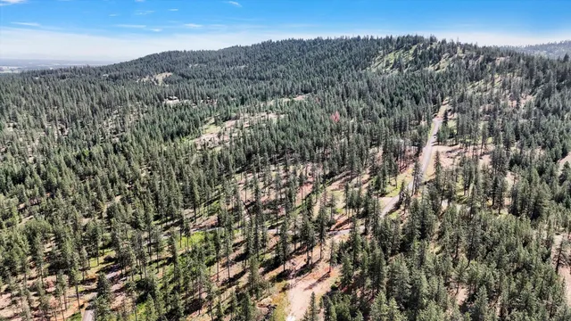 $300,000 | Nka Nka Way, Unit LOTS A B AND C, Deer Park, WA 99006