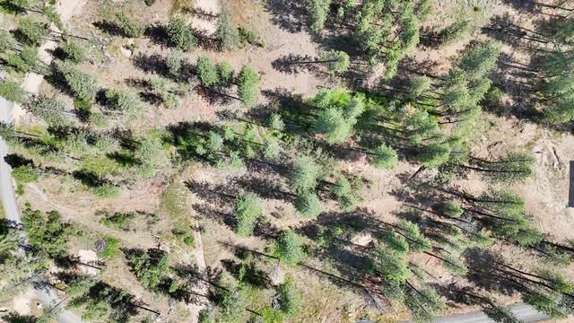 $300,000 | Nka Nka Way, Unit LOTS A B AND C, Deer Park, WA 99006