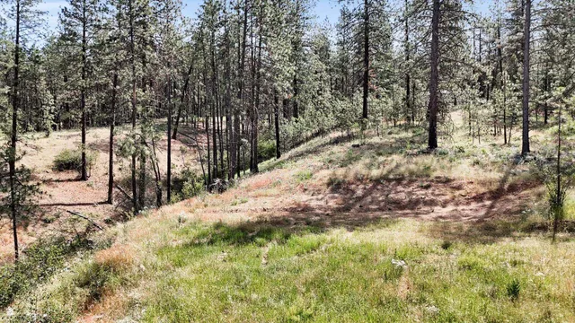 $300,000 | Nka Nka Way, Unit LOTS A B AND C, Deer Park, WA 99006