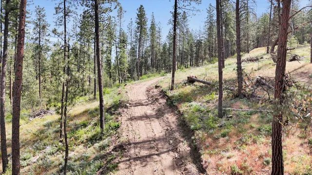 $300,000 | Nka Nka Way, Unit LOTS A B AND C, Deer Park, WA 99006