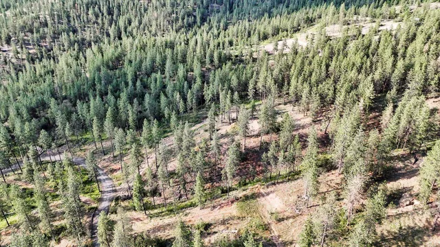 $300,000 | Nka Nka Way, Unit LOTS A B AND C, Deer Park, WA 99006