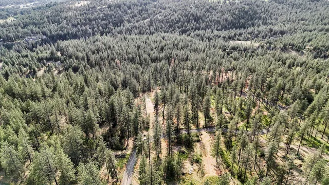 $300,000 | Nka Nka Way, Unit LOTS A B AND C, Deer Park, WA 99006