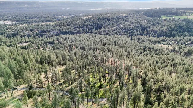 $300,000 | Nka Nka Way, Unit LOTS A B AND C, Deer Park, WA 99006