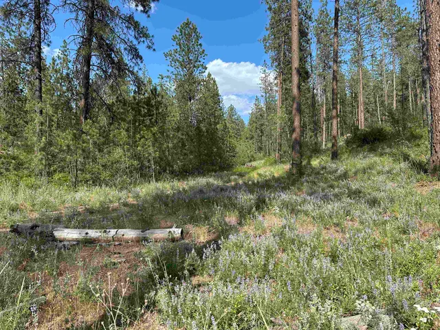 $300,000 | Nka Nka Way, Unit LOTS A B AND C, Deer Park, WA 99006