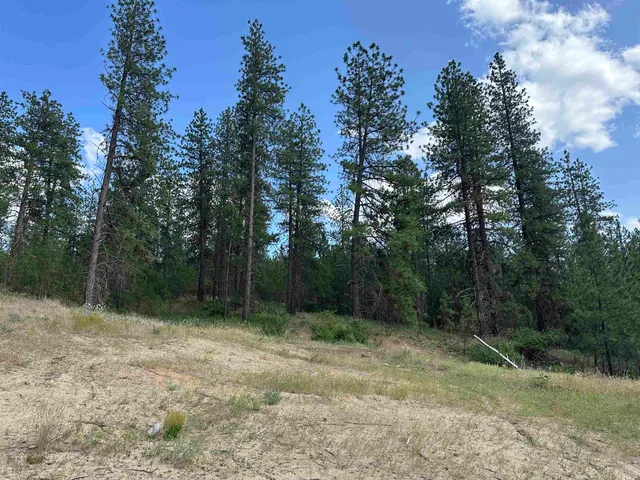 $300,000 | Nka Nka Way, Unit LOTS A B AND C, Deer Park, WA 99006