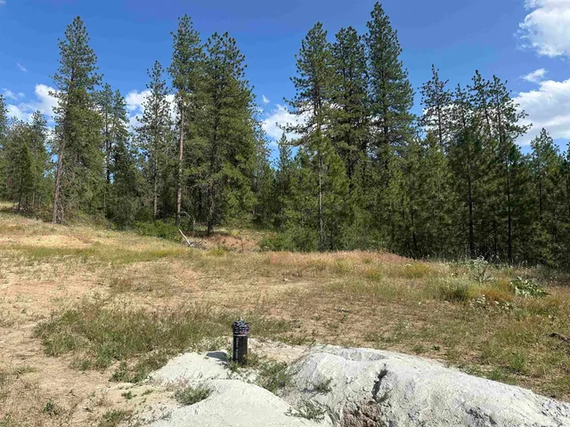 $300,000 | Nka Nka Way, Unit LOTS A B AND C, Deer Park, WA 99006