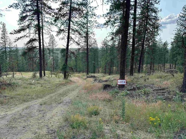 $300,000 | Nka Nka Way, Unit LOTS A B AND C, Deer Park, WA 99006