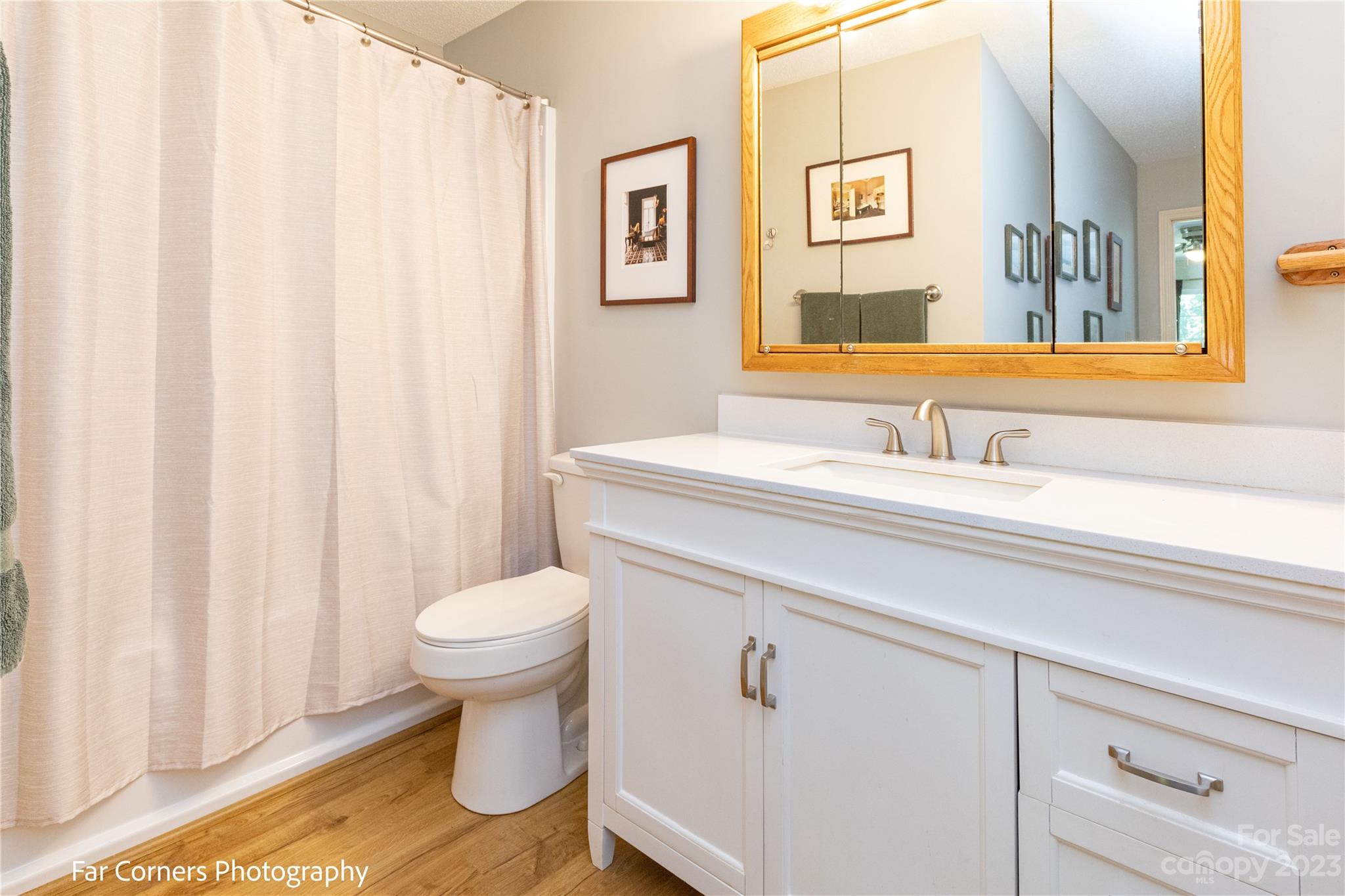 1454 Sorrells Cove Road Clyde, NC 28721 - Photo 21 of 26 a bathroom with a sink and a toilet