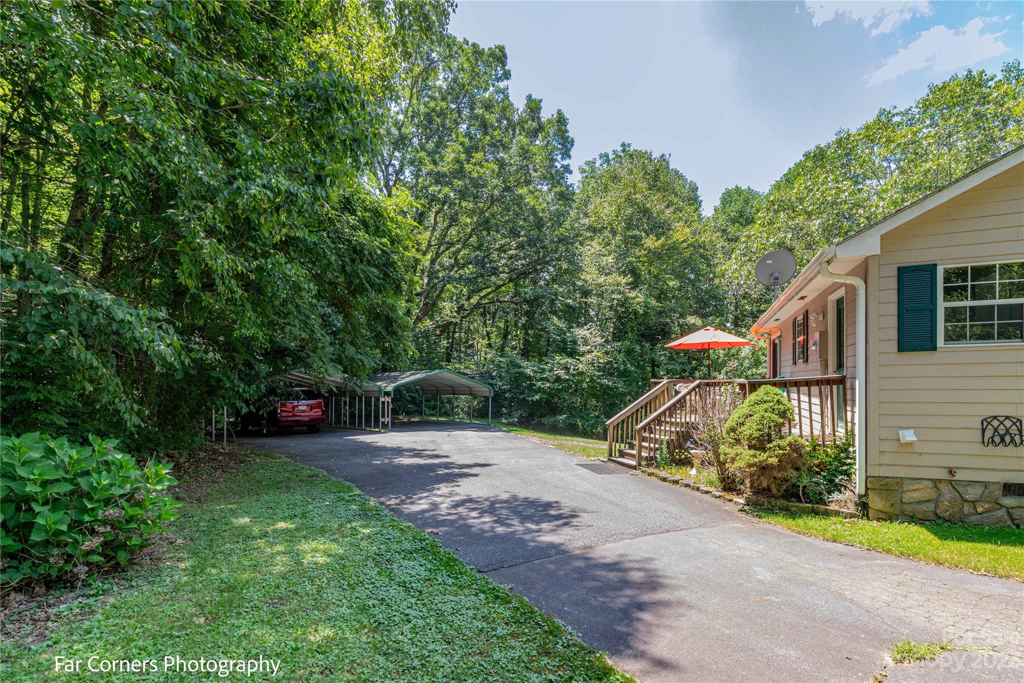 1454 Sorrells Cove Road Clyde, NC 28721 - Photo 10 of 26 a view of a backyard with potted plants and large tree