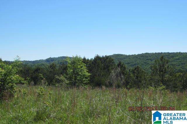 82-acres Creed Road, Unit 82 ACRES Lineville, AL 36266 - Photo 8 of 20