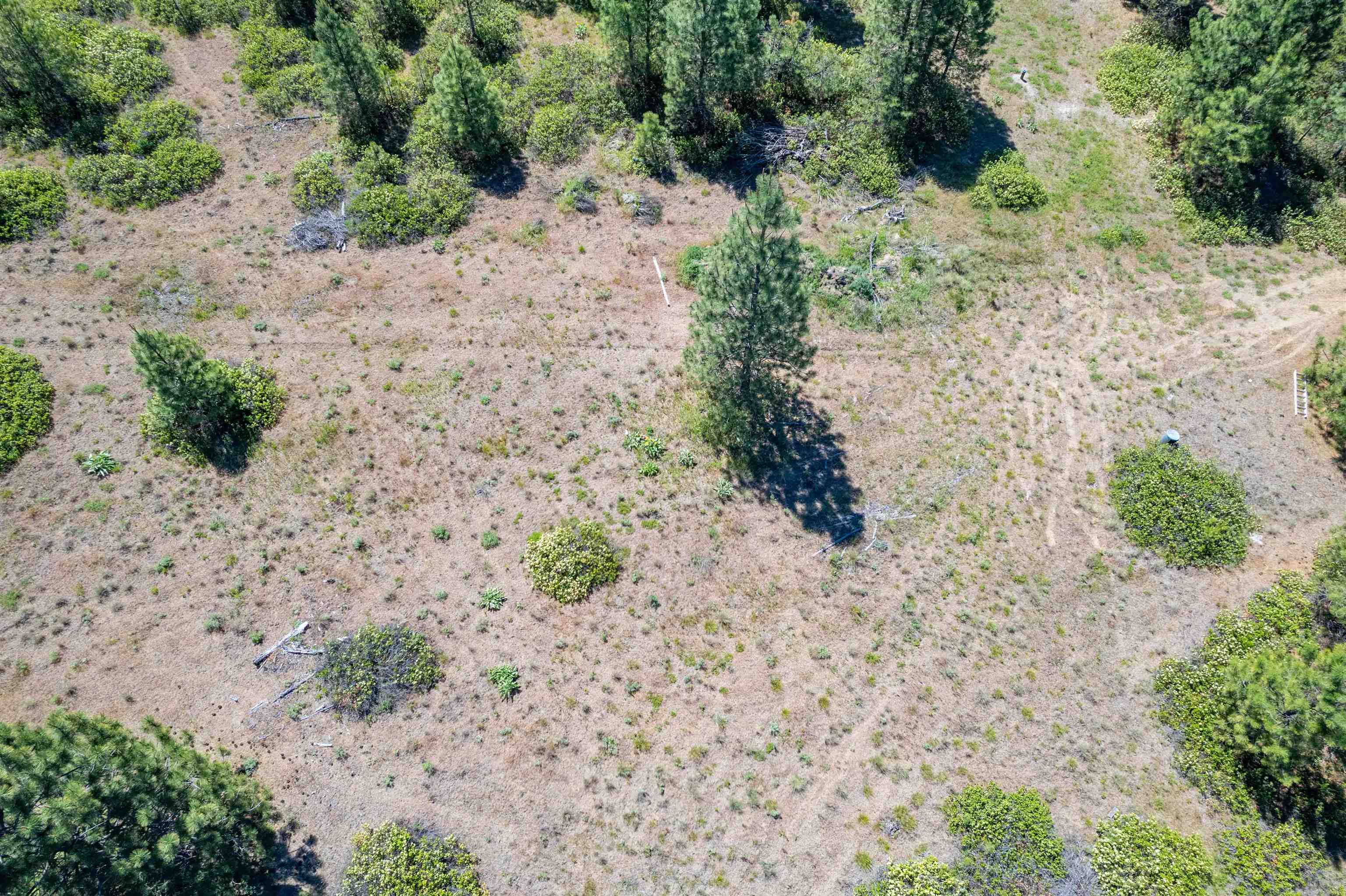 29-xxx North Hardesty Road Chattaroy, WA 99003 - Photo 18 of 40