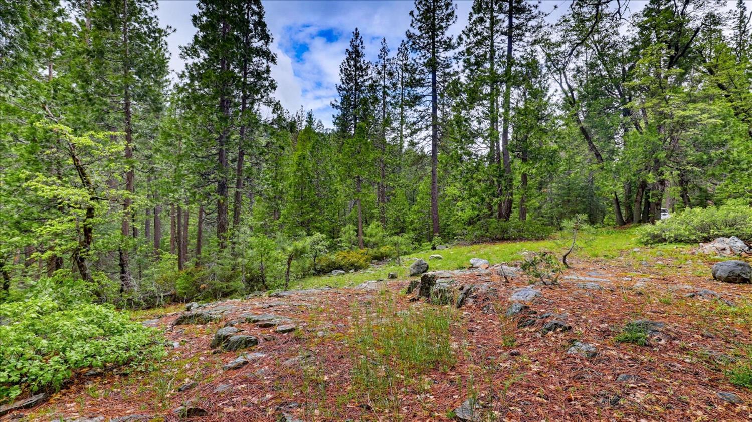 0 Texas Hill Road Emigrant Gap, CA 95715 - Photo 20 of 24