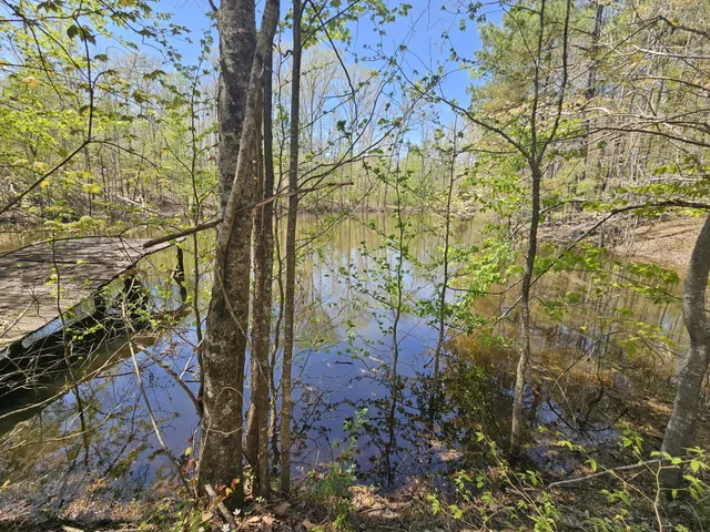 a view of a pathway of a building