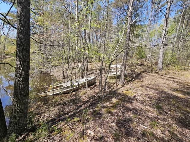 a view of a backyard with large trees
