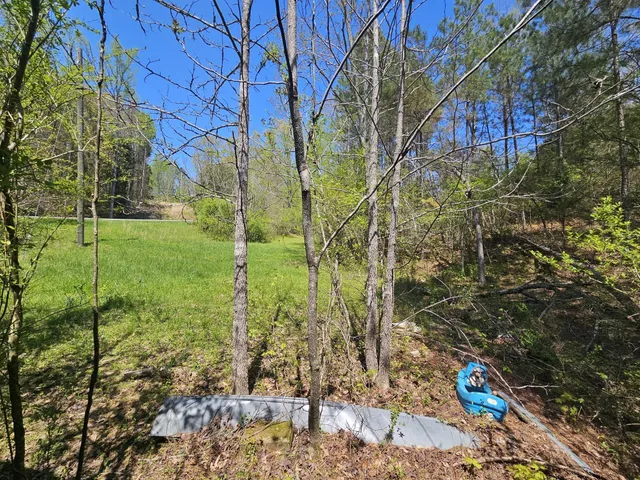 a view of yard with green space