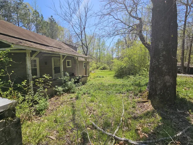 a view of a garden with plants and large trees