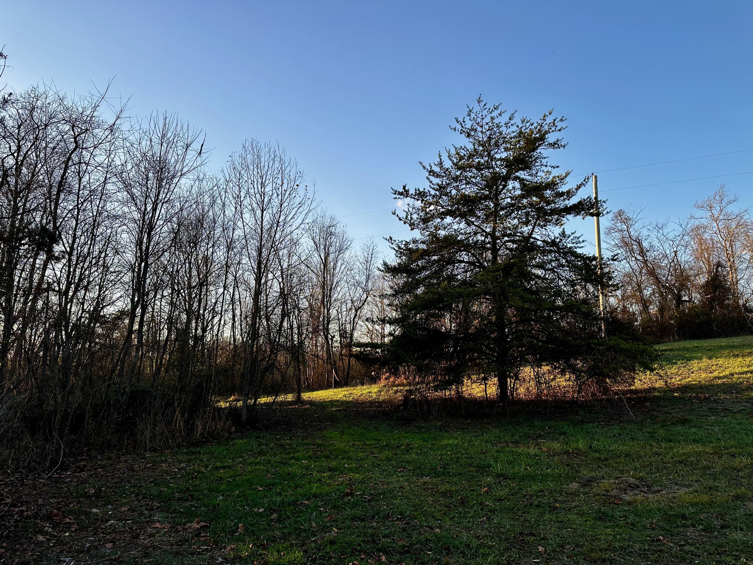 7374 Dutch Ridge Road, Unit TRACT 2 AT DUTCH RIDGE) New Straitsville, OH 43766 - Photo 29 of 31 20241111_214957057_iOS