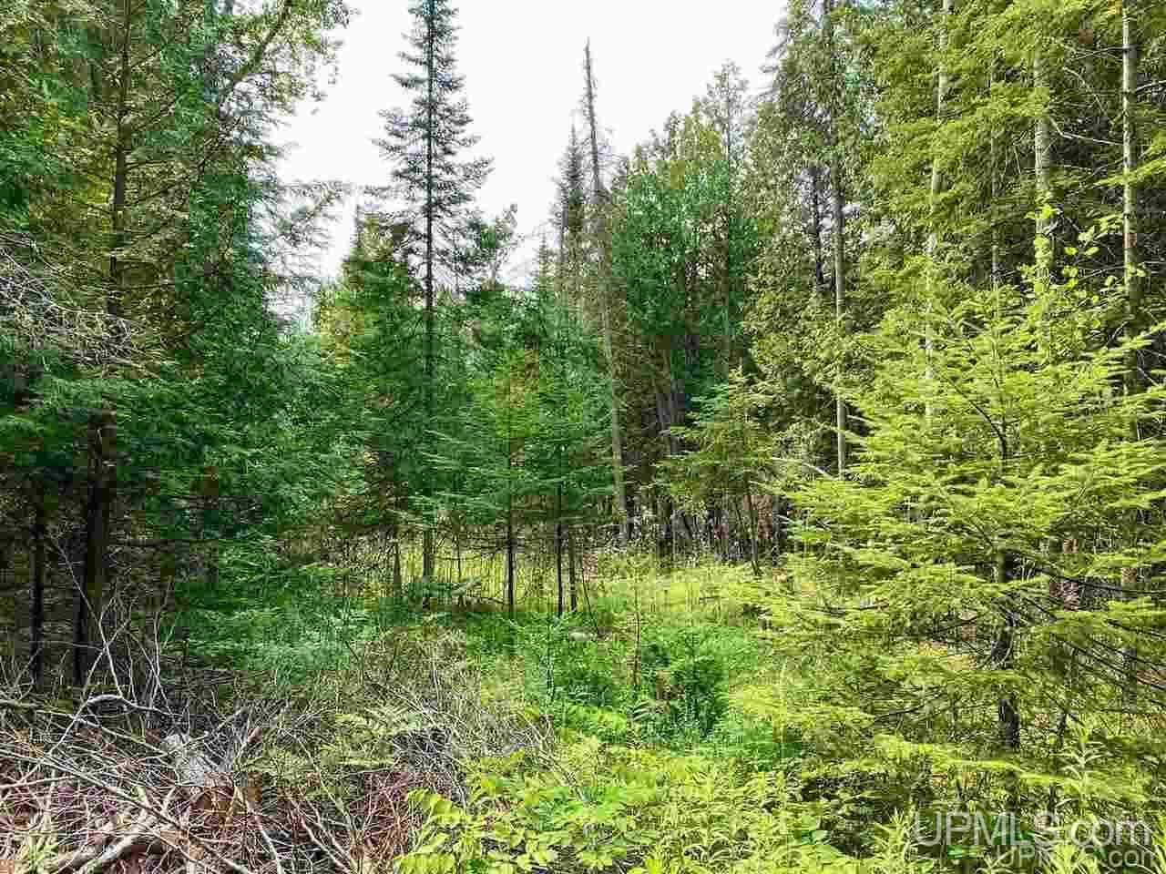 Tbd Asp Road Manistique, MI 49854 - Photo 5 of 18 Gallery Image 5