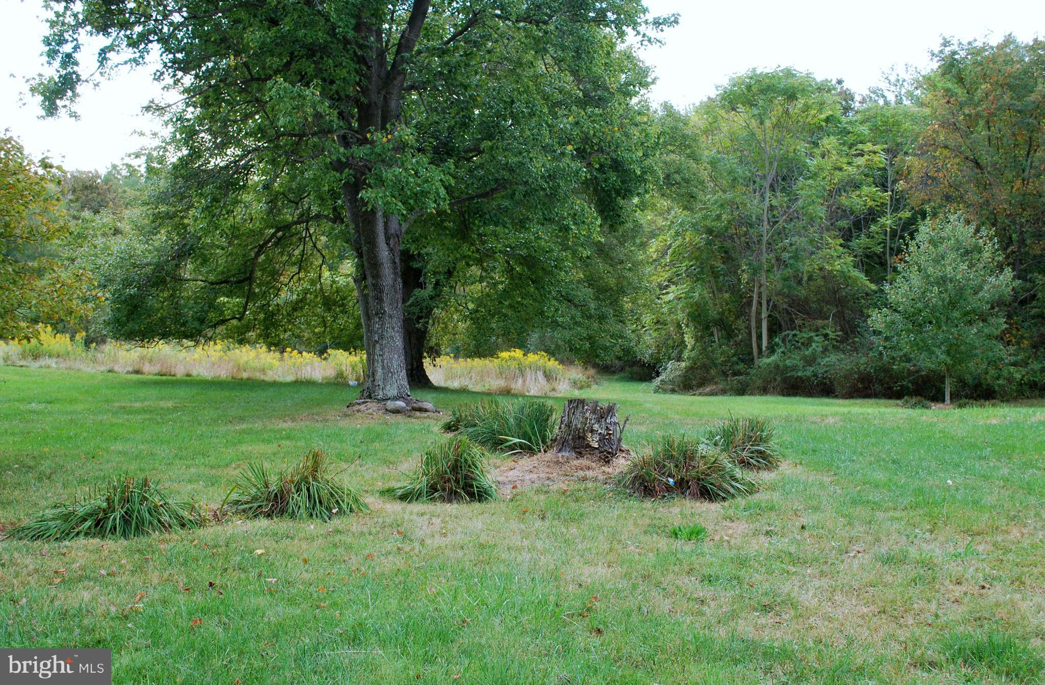 13483 Reed Road Thurmont, MD 21788 - Photo 15 of 17 View