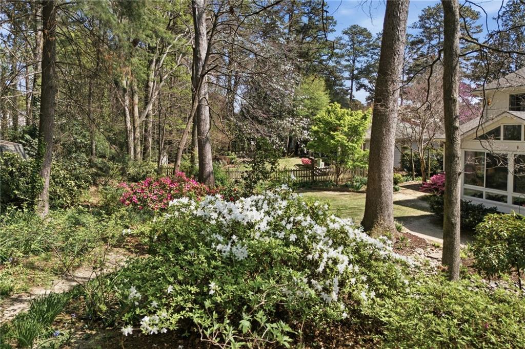 1924 Queens Way Atlanta, GA 30341 - Photo 67 of 88 a backyard of a house with lots of green space