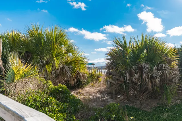 $935,000 | 115 East Arctic Avenue, Unit 3A, Folly Beach, SC 29439