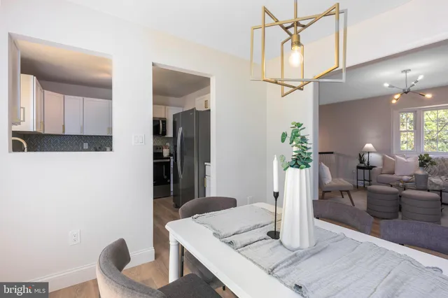 a living room with furniture a potted plant and a lamp