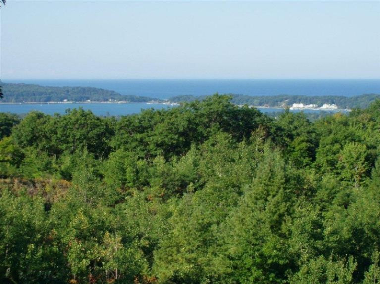 Emerald Ridge Trail, Unit 24 Onekama, MI 49675 - Photo 1 of 9 Primary Photo