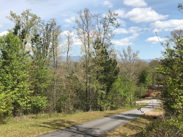 Lot 29 Brasstown View Road Murphy, NC 28906 - Photo 11 of 11