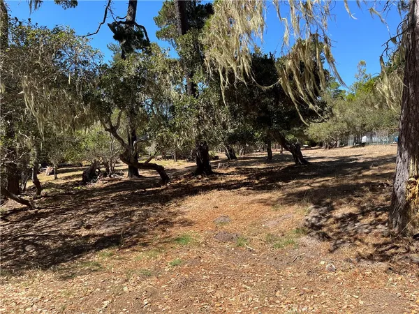 a view of a backyard of a house