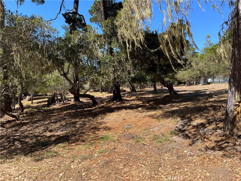 a view of a backyard of a house
